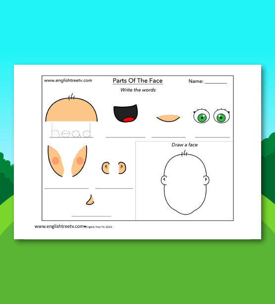 Parts Of The Face Worksheet