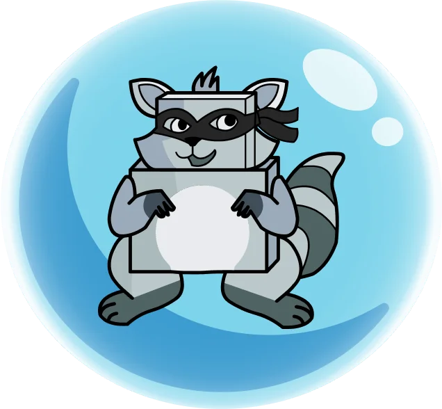 raccoon